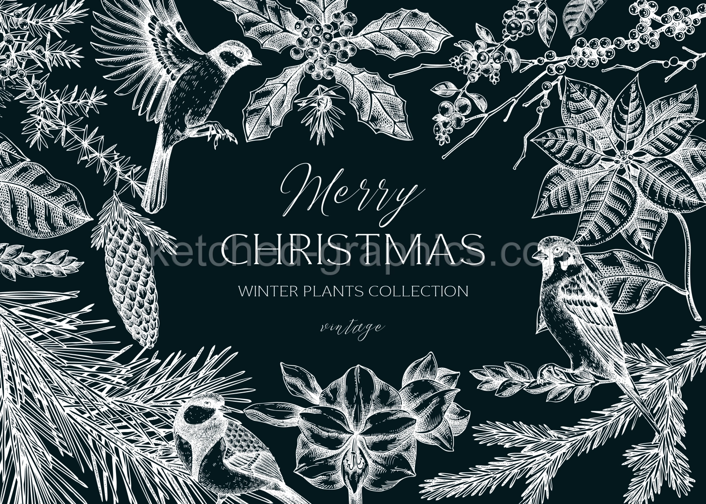 Christmas cbackground. Winter plants vintage frame template. Conifer trees, winter flowers, birds sketches. Hand drawn vector illustration on chalkboard. NOT AI generated Illustration